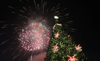 Алматинцы призывают встречать Новый год без салютов: социальная инициатива в защиту спокойствия и безопасности