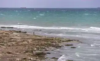 Токаев на бизнес-форуме в Астане: "Сохранение водных ресурсов Каспия требует безотлагательных действий"