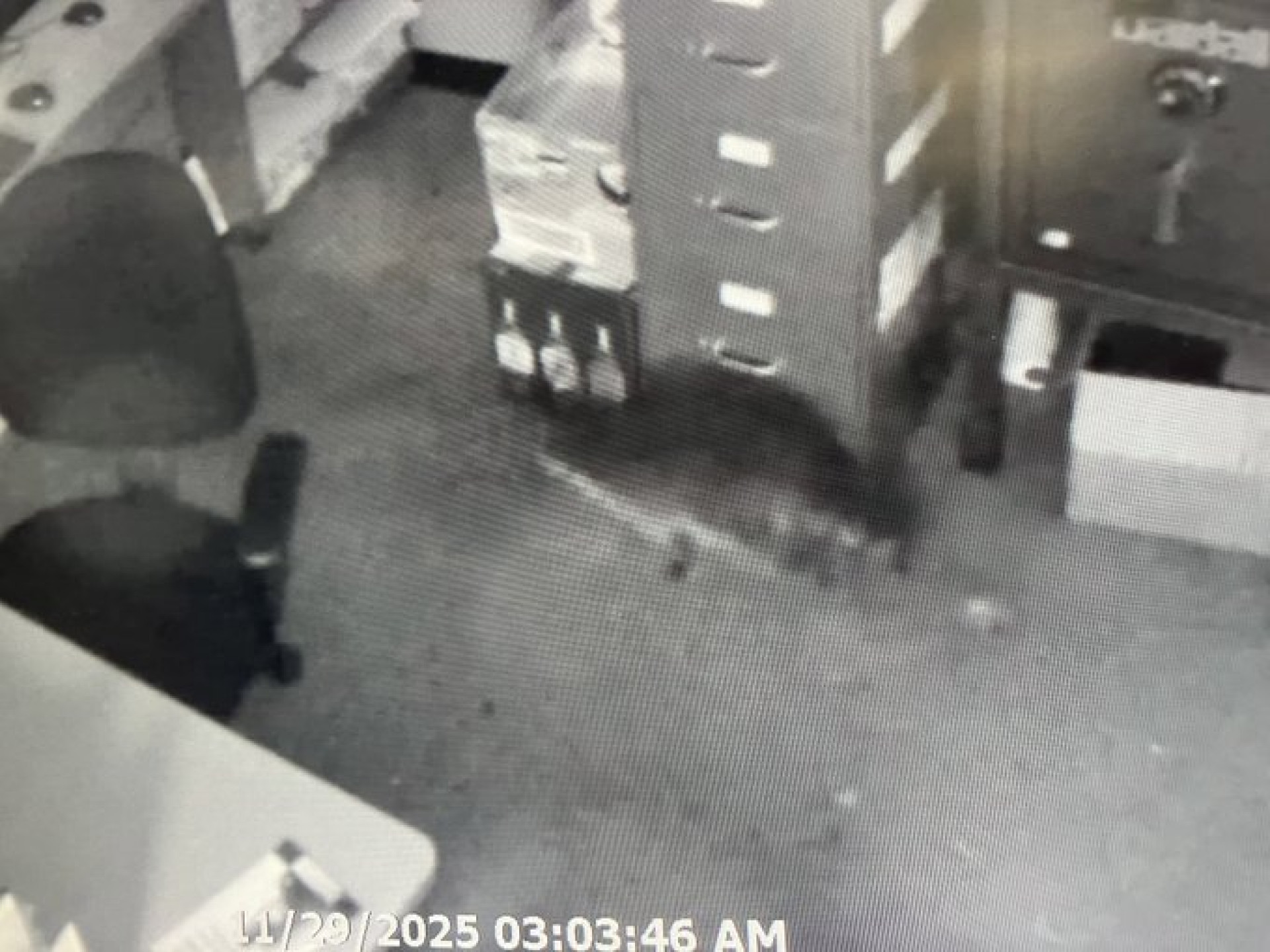 Пьяный енот в магазине