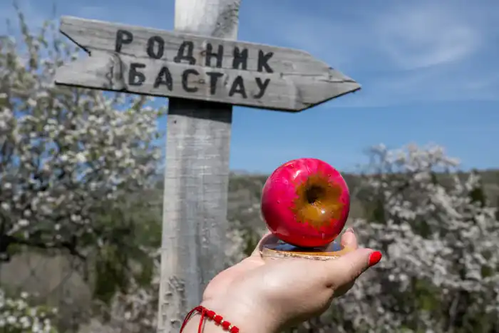 Экологический туризм в Жетісу: число посетителей национальных парков за год достигло 40 тыс. человек (7)