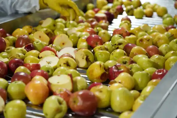 Завод по глубокой переработке фруктов и ягод запустили в Туркестанской области (5)