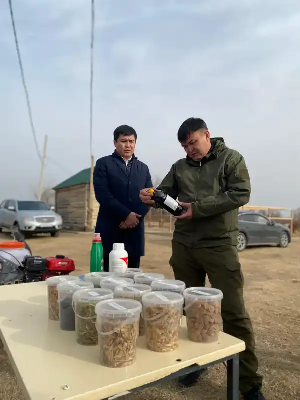 В ТУРКЕСТАНСКОЙ ОБЛАСТИ ПРОВЕРИЛИ РАБОТУ ЛЕСНЫХ ХОЗЯЙСТВ (2)