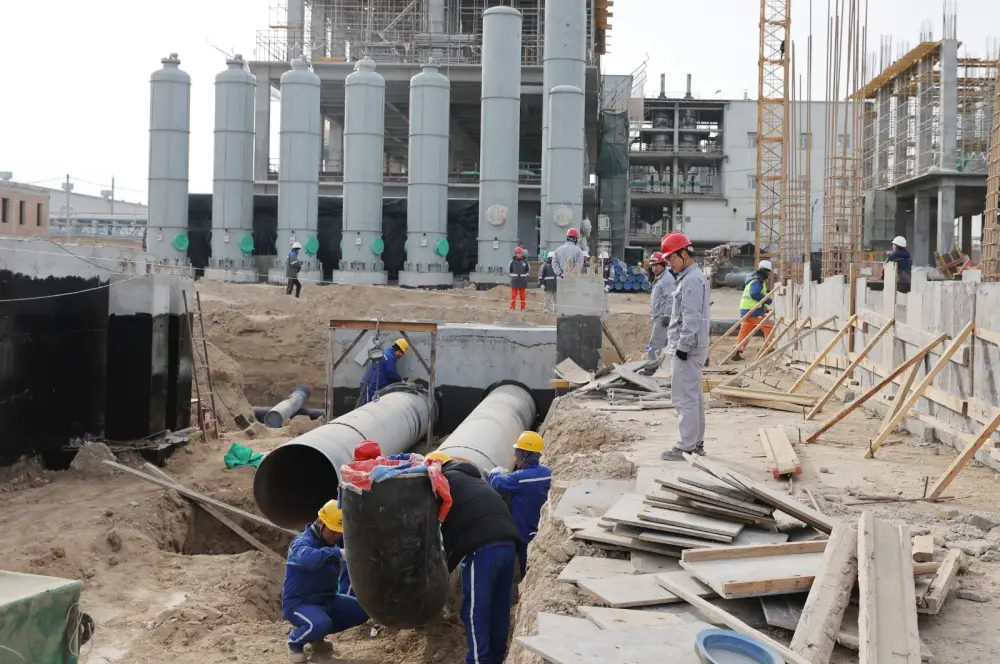 Более 42 тысяч рабочих мест планируется создать в этом году в Жамбылской области (6)