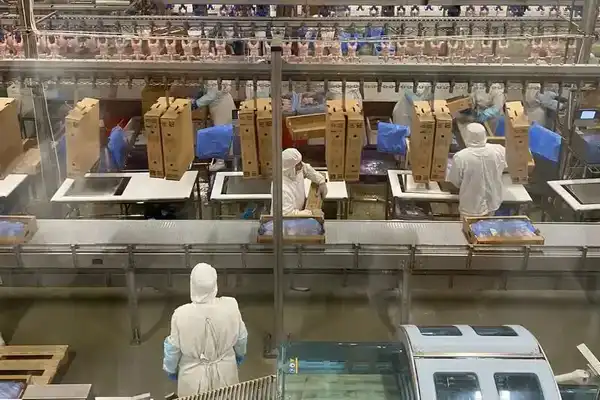 Макинская птицефабрика: надежность, высокое качество и развитие производства (3)