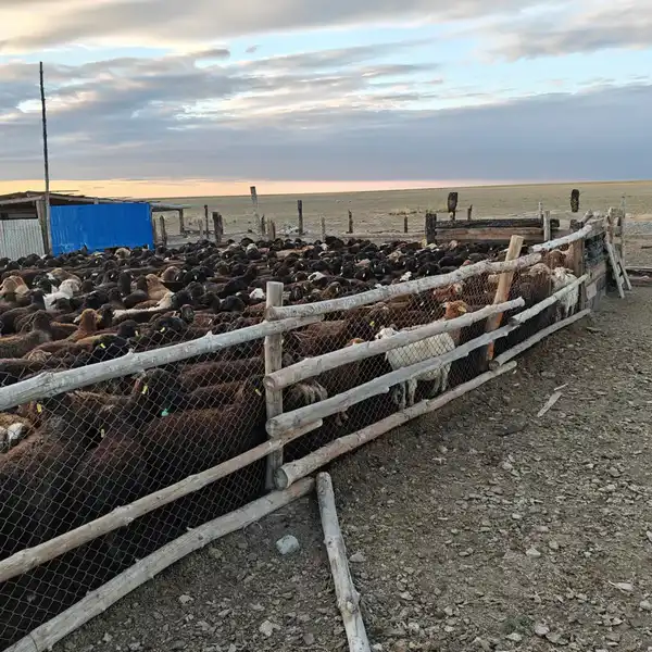 В Аксуатском районе ведется строительство нескольких объектов предпринимательства (4)