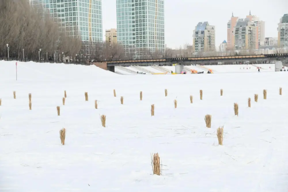 Работы по сохранению биоразнообразия в реке Есиль проводят в Астане (4)