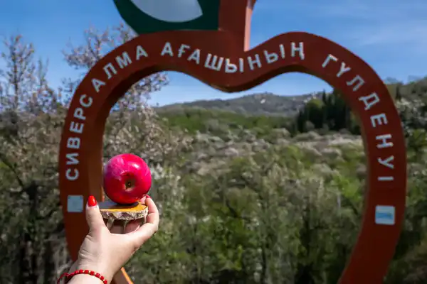 3 фестиваля области Жетісу вошли в cобытийный календарь культурно-туристских мероприятий Министерства туризма и спорта (8)