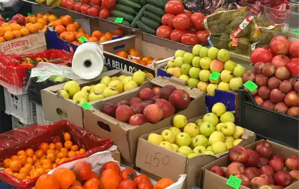 Доступные цены и широкий ассортимент продукции: ярмарка выходного дня проходит в Астане (5)