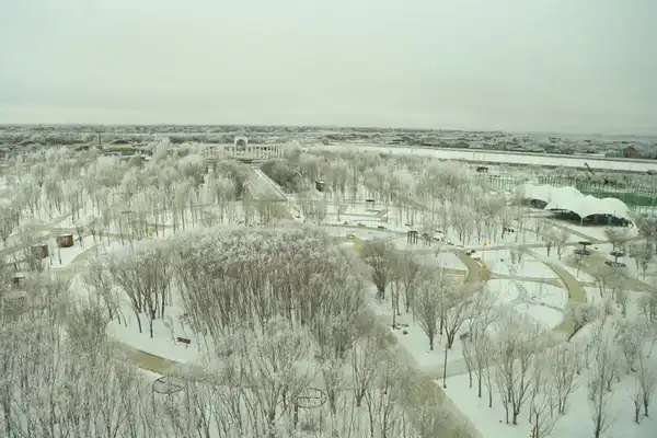 Делегация Актюбинской области прибыла в Кызылординскую область (10)