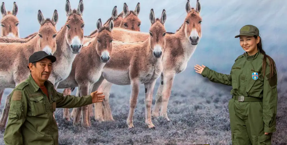 3 фестиваля области Жетісу вошли в cобытийный календарь культурно-туристских мероприятий Министерства туризма и спорта (3)