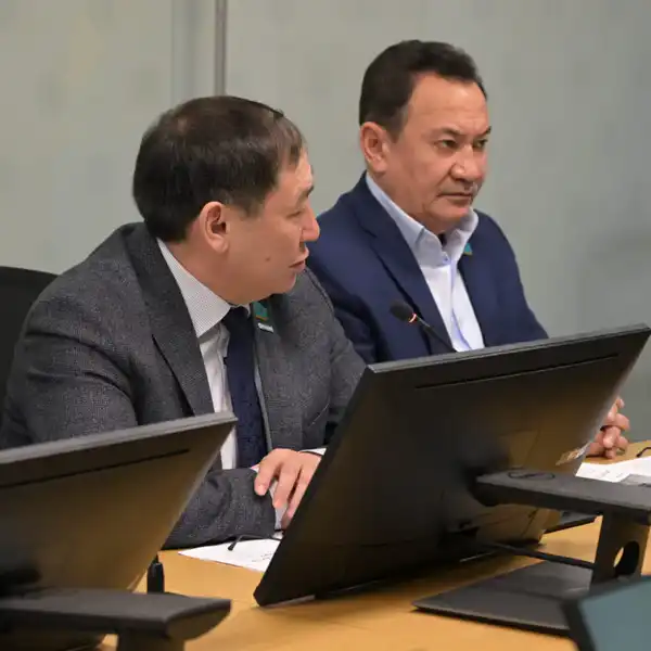 С нового года - к новым задачам и проектам (3)