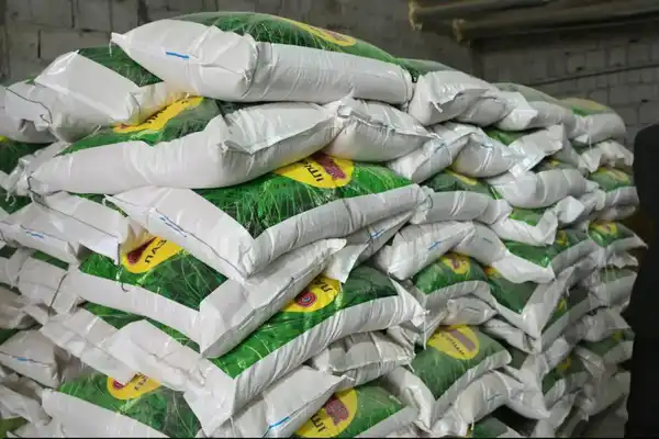 Цех по переработке риса запустили в Туркестанской области (3)