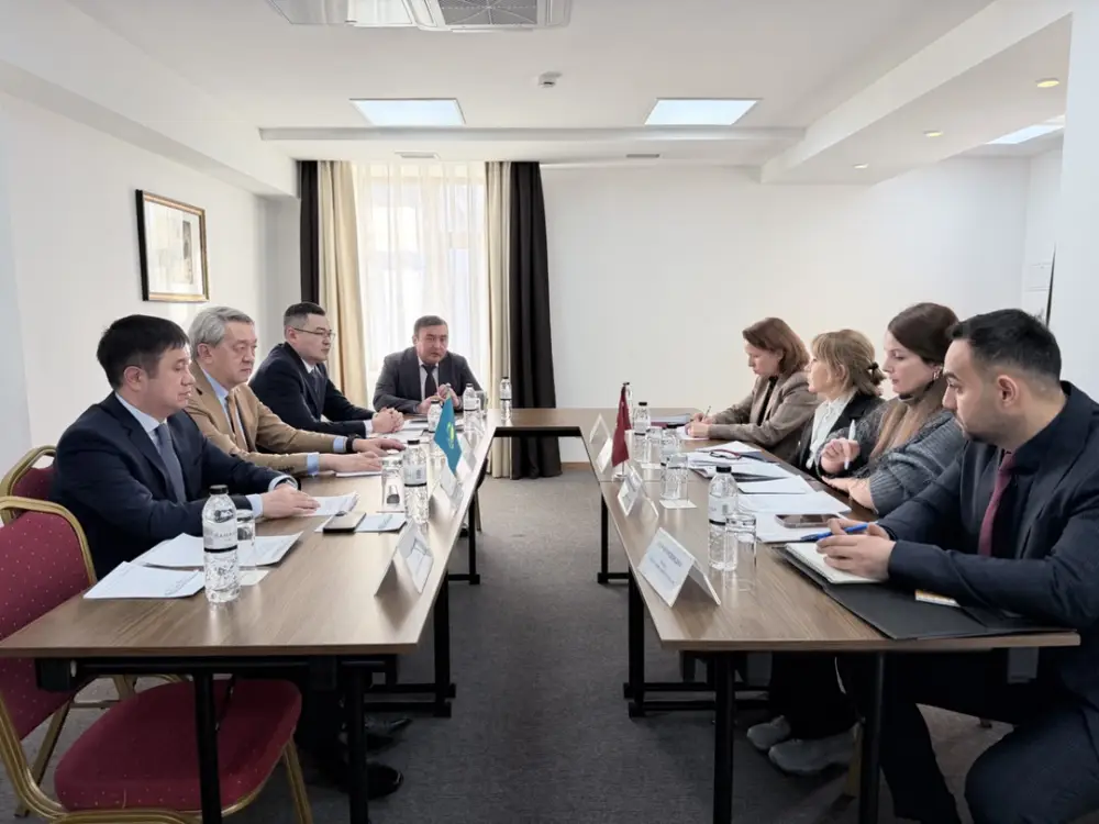 Встреча экспертов по вопросу взаимного признания программ Уполномоченных экономических операторов Республики Казахстан и Турецкой Республики (3)