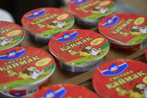 Итоги года в области Жетісу: доля Талдыкоргана в сфере МСБ региона достигла порядка 33% (6)