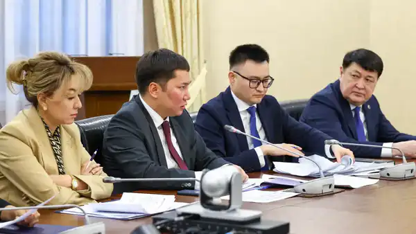 В Казахстане создадут цифровую платформу аналитики данных для борьбы с теневой экономикой (2)