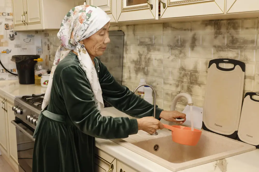 Бейбит Исабаев обозначил 10 основных задач дальнейшего развития Кербулакского района (3)