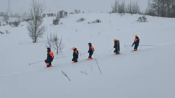 Спасательные подразделения МЧС провели учения в лавиноопасный сезон (4)