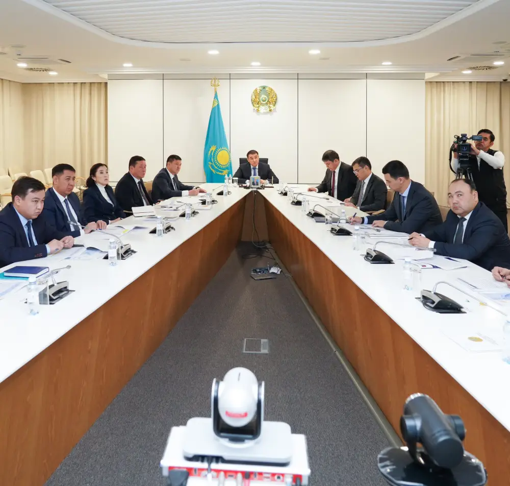 В ТУРКЕСТАНСКОЙ ОБЛАСТИ ЗА ТРИ ГОДА В РАМКАХ ПРОГРАММЫ «АУЫЛ АМАНАТЫ» ПРОФИНАНСИРОВАНО ОКОЛО 4000 ПРОЕКТОВ (7)