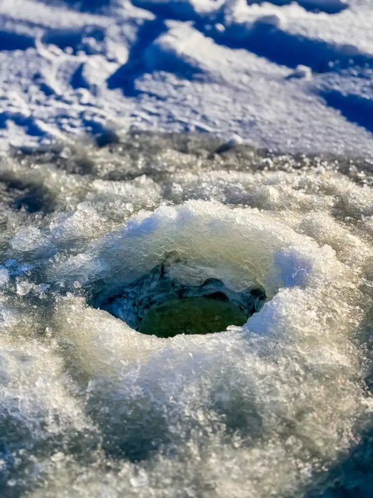 В водоёмах проводятся работы по аэрации (2)