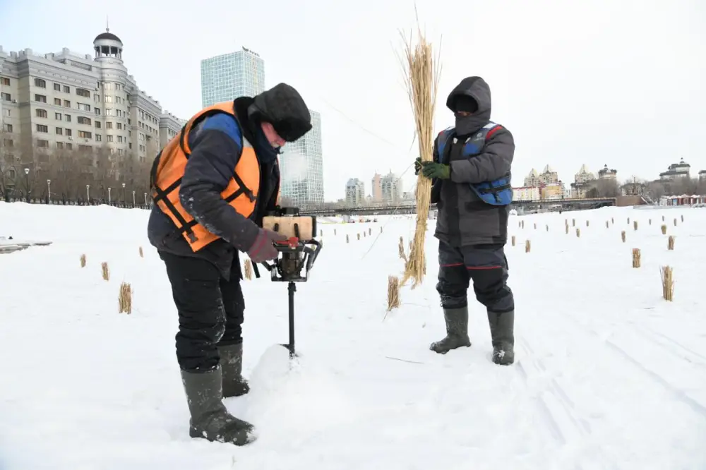 Работы по сохранению биоразнообразия в реке Есиль проводят в Астане (2)