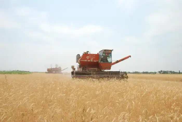 76 оросительных каналов отремонтируют в Жамбылской области (4)