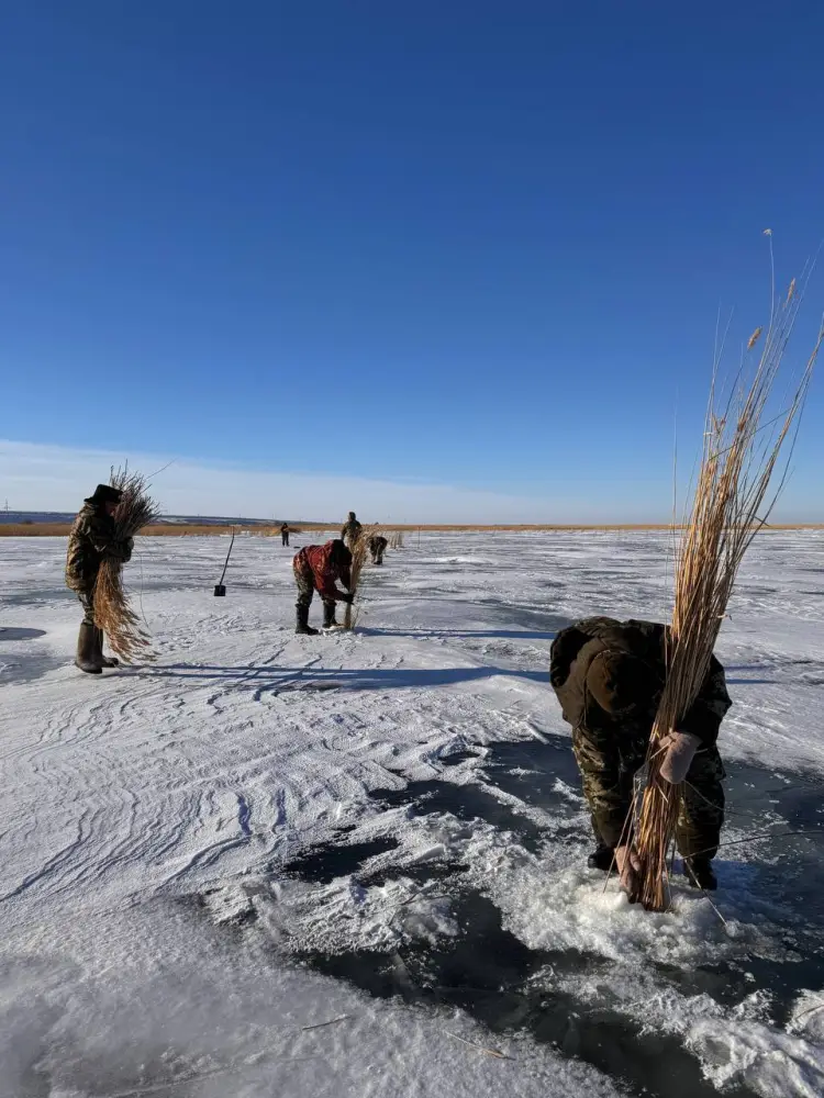 В водоёмах проводятся работы по аэрации (4)