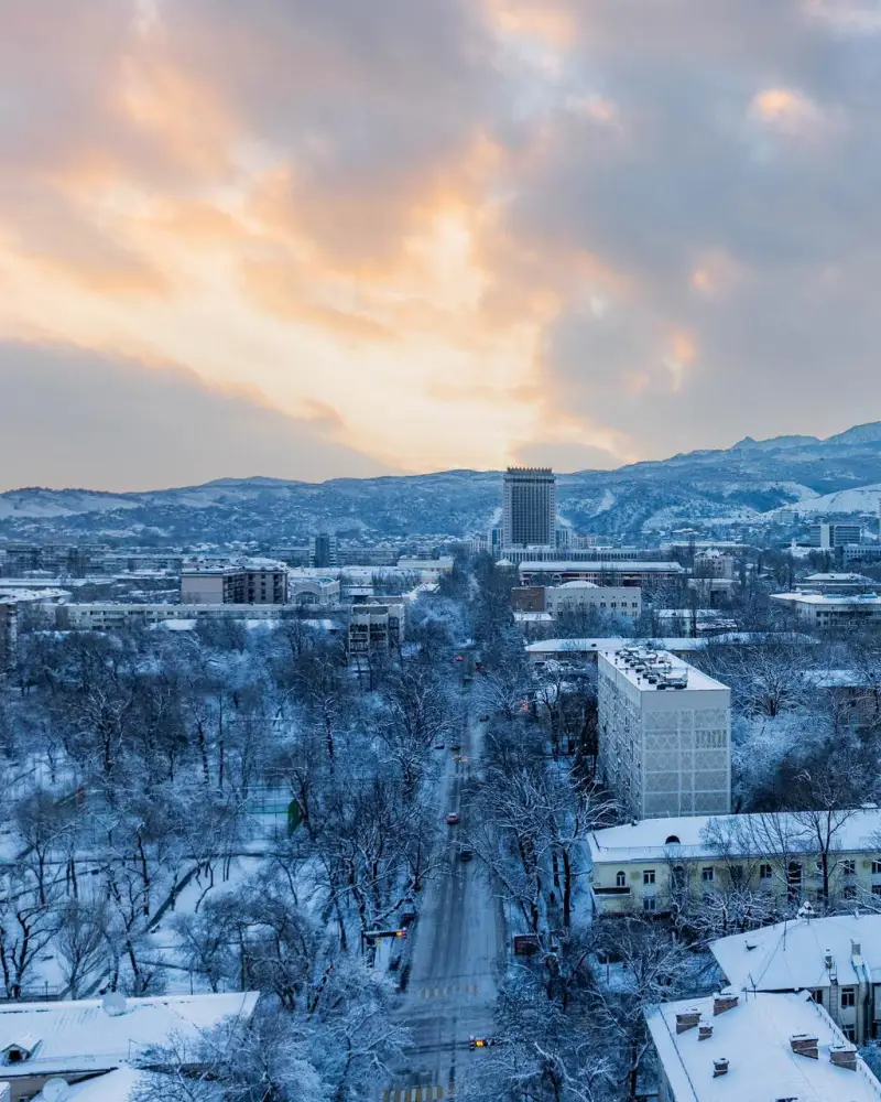 Приоритеты модернизации — в плоскости конкретных решений: в Алматы обсудили реализацию задач, обозначенных Главой государства (3)