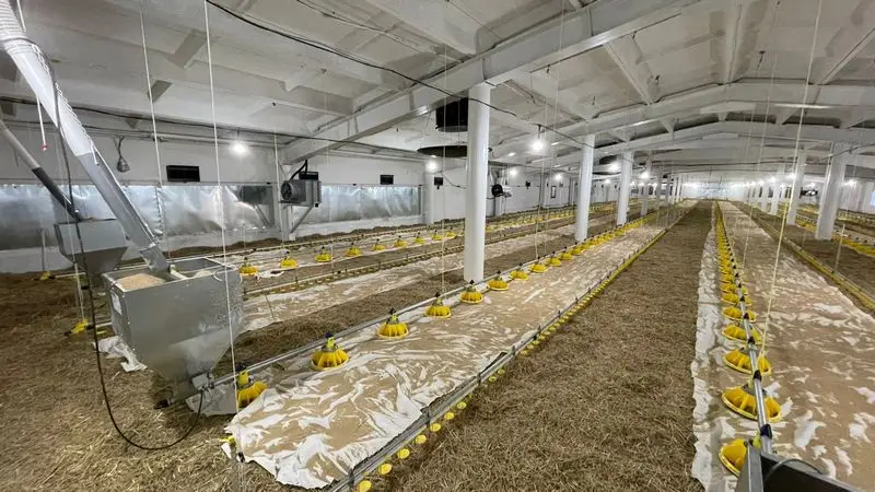 В Карагандинской области появился новый птичник с искусственным интеллектом (9)