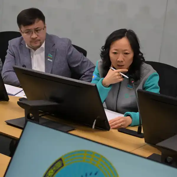 С нового года - к новым задачам и проектам (7)