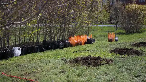 «Таза Қазақстан»: что сделано в Карагандинской области (3)