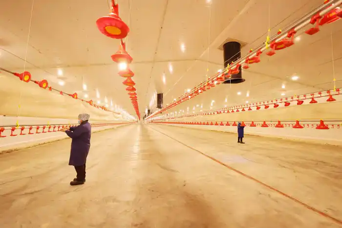 Ербол Карашукеев ознакомился с развитием сельского хозяйства в Байзакском районе (7)