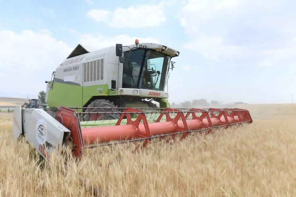 В ТУРКЕСТАНСКОЙ ОБЛАСТИ ЗА ТРИ ГОДА В РАМКАХ ПРОГРАММЫ «АУЫЛ АМАНАТЫ» ПРОФИНАНСИРОВАНО ОКОЛО 4000 ПРОЕКТОВ (2)