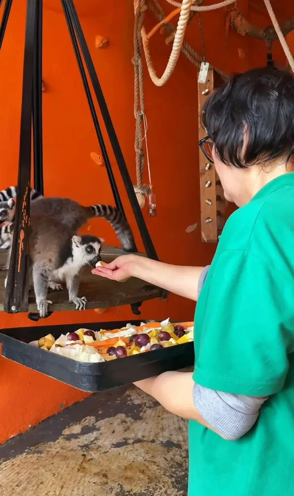 В Алматинском зоопарке увеличилось количество новых видов животных и растёт число посетителей (3)