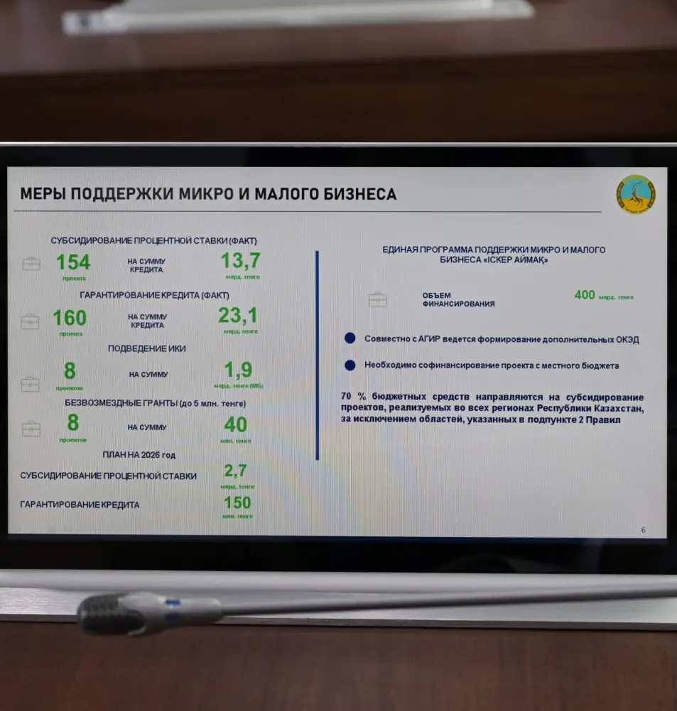 Павлодарская область приступила к реализации поручений Президента, данных на V Национальном курултае (3)