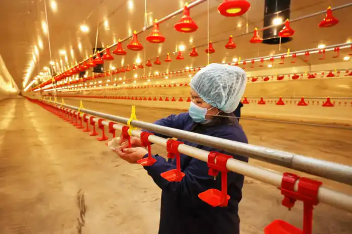 Ербол Карашукеев ознакомился с развитием сельского хозяйства в Байзакском районе (6)