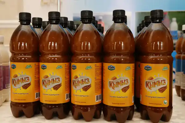 Итоги года в области Жетісу: доля Талдыкоргана в сфере МСБ региона достигла порядка 33% (10)