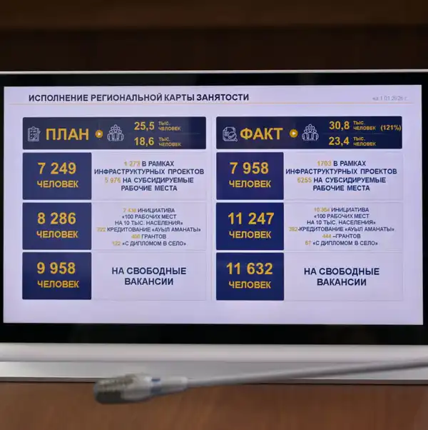 В акимате области прошло рабочее совещание, где рассмотрели итоги социально-экономического развития региона за 2025 год, исполнение Региональной карты занятости и освоение бюджетных средств (9)