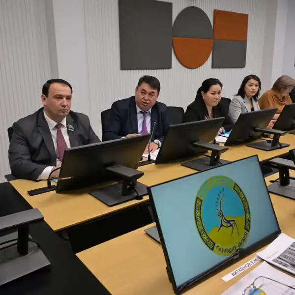 С нового года - к новым задачам и проектам (4)