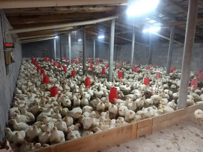 В ТУРКЕСТАНСКОЙ ОБЛАСТИ ОТКРОЮТСЯ НОВЫЕ ЗАВОДЫ И РАБОЧИЕ МЕСТА (5)