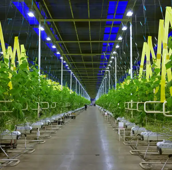 Аким области Асаин Байханов с рабочей поездкой посетил Экибастуз (10)