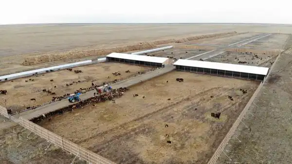 В Аксуатском районе ведется строительство нескольких объектов предпринимательства (5)