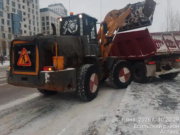 В Астане для очистки города от снега задействовано более 1 800 единиц спецтехники (8)