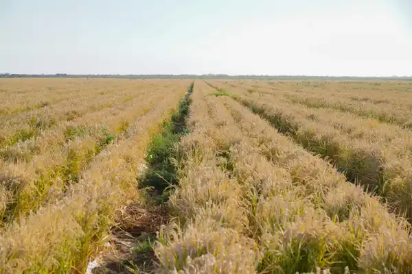 ЭКОНОМИЯ ВОДЫ – ВОПРОС НАЦИОНАЛЬНОЙ БЕЗОПАСНОСТИ: РЕАЛИЗАЦИЯ ПОРУЧЕНИЙ ПРЕЗИДЕНТА В РЕГИОНЕ ПРИНОСЯТ КОНКРЕТНЫЕ РЕЗУЛЬТАТЫ (6)