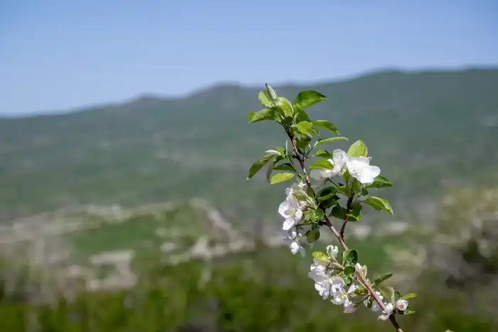 Экологический туризм в Жетісу: число посетителей национальных парков за год достигло 40 тыс. человек (4)