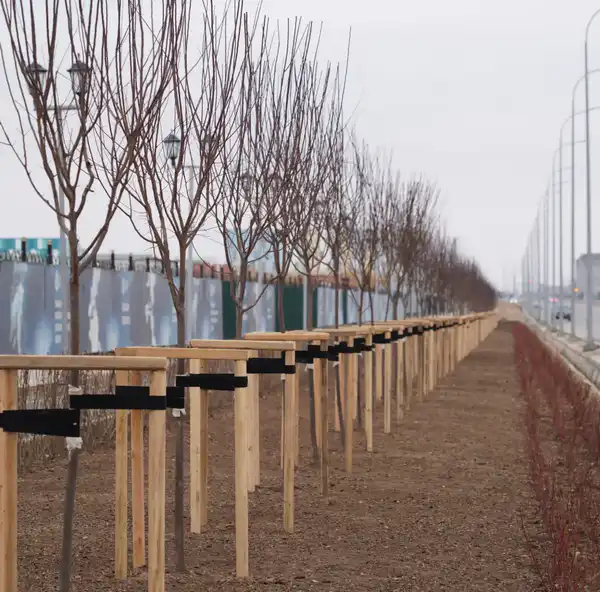В ЭТОМ ГОДУ В ТУРКЕСТАНСКОМ ЖИЛОМ КОМПЛЕКСЕ «ЖІБЕК ЖОЛЫ» СДАДУТ В ЭКСПЛУАТАЦИЮ 432 КВАРТИРЫ (9)