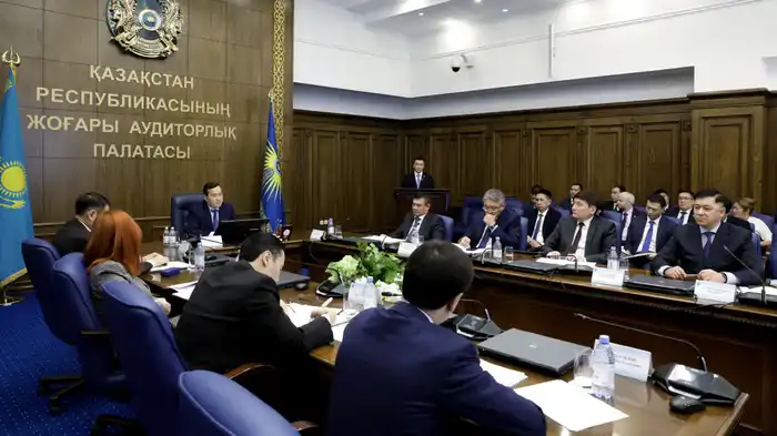 Подведены итоги аудита ВАП в городе Алматы (7)