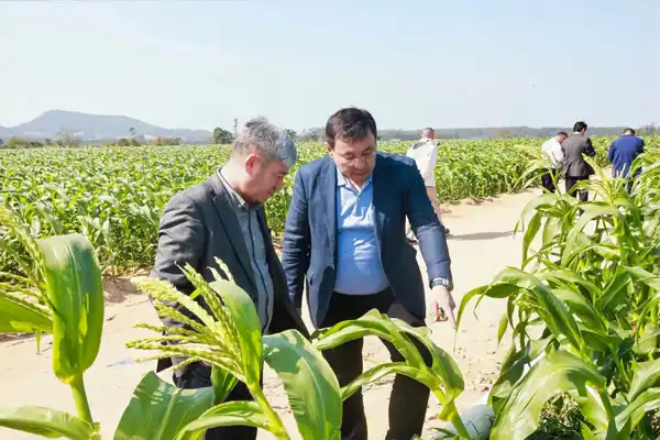 Кызылординская область расширяет сотрудничество с Китаем в агропромышленной сфере (4)