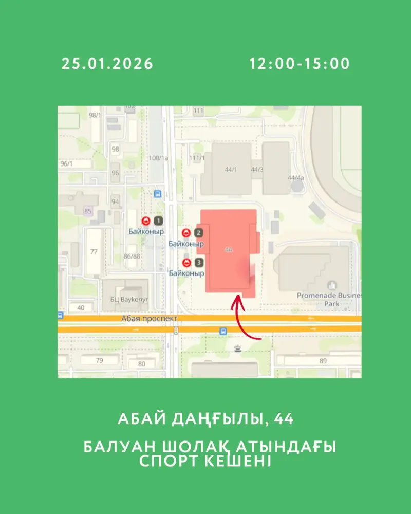 В Алматы пройдет открытое экомероприятие Recycle Birge (2)