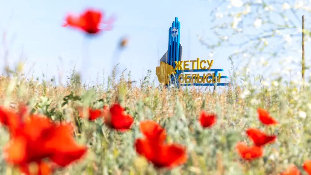 Туризм в Жетісу: развитие инфраструктуры, рост числа туристов и увеличение объема оказанных услуг (7)