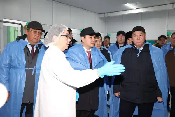 В Жанаозене открылся цех по производству сухого верблюжьего молока (3)